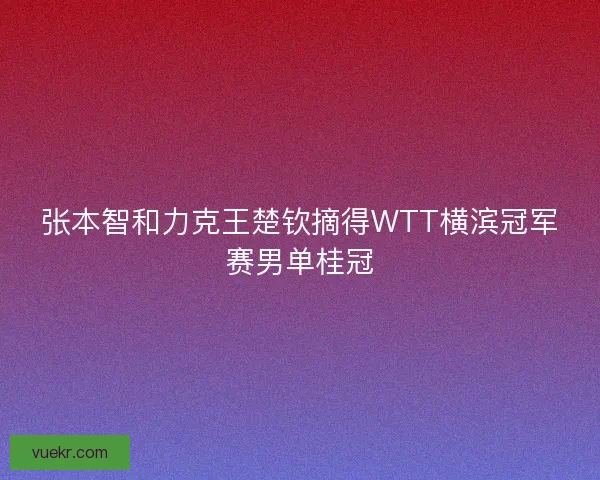 张本智和力克王楚钦摘得WTT横滨冠军赛男单桂冠 张本智和力克王楚钦摘得WTT横滨冠军赛男单桂冠